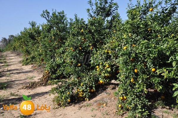 bayara visiting (8).JPG